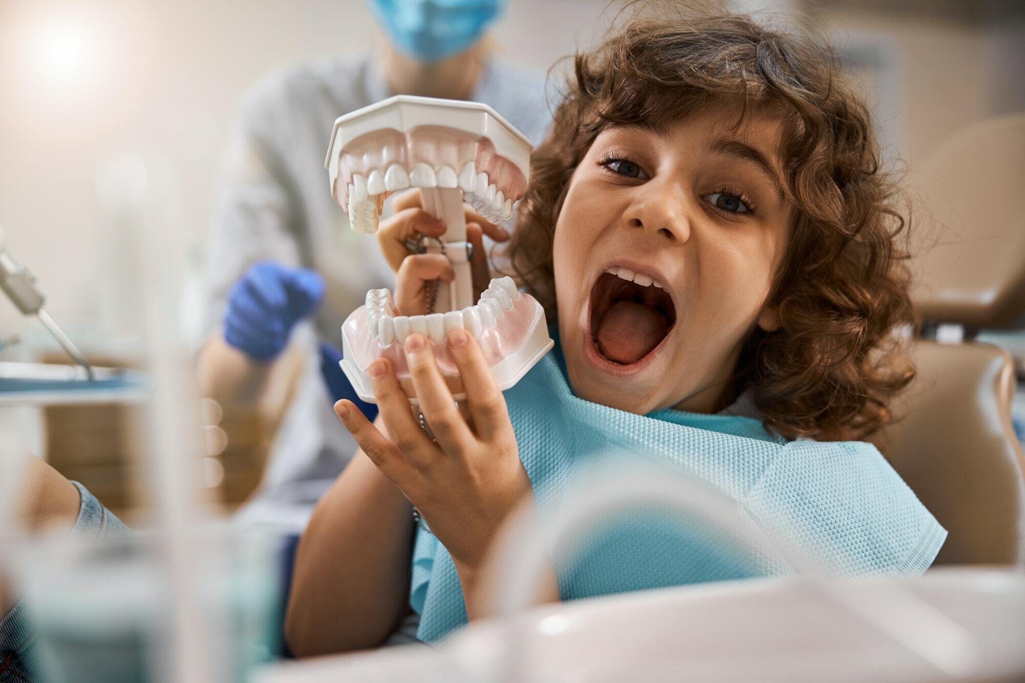 Fun kid holding a clay model of human teeth